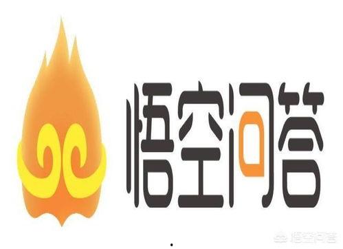 头条关注数量怎么提高的,头条关注数量激增的秘诀解析