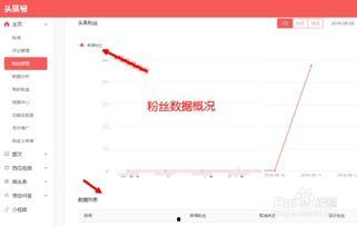 怎么找粉丝头条号视频,如何轻松找到粉丝头条号视频，掌握热门内容生成技巧