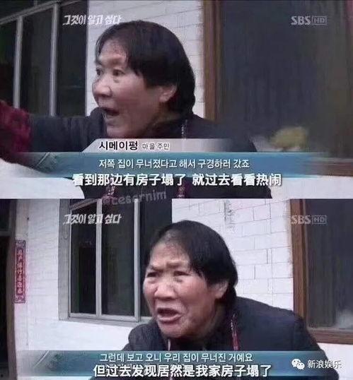 吃瓜紫薇星,娱乐圈的神秘力量