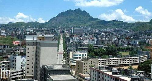 漳平县海博镇新闻头条,聚焦乡村振兴，共绘美好家园新画卷