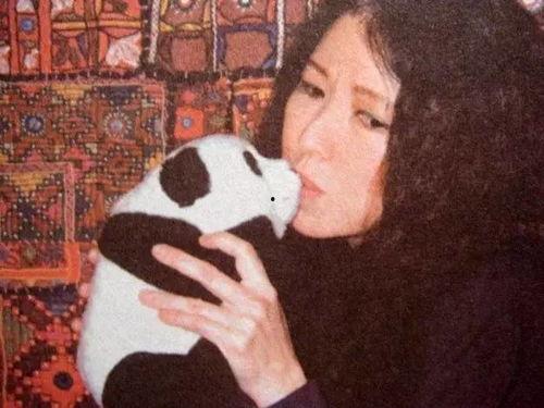 三毛爆料王老大视频大全,王老大视频大全背后的惊人真相