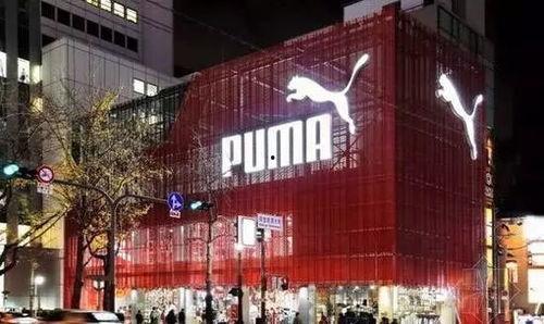 全球上亿粉丝的网红,揭秘网络红人的崛起之路