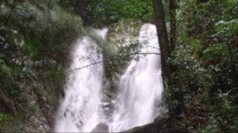 九连山头条,探寻神秘九连山，揭秘自然奇观与人文历史