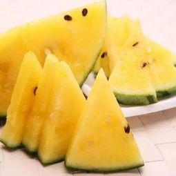 好看头像吃瓜,跟随好看头像探寻吃瓜乐趣