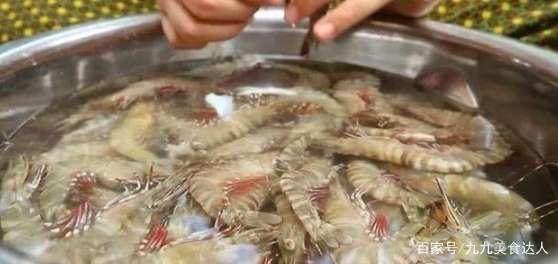 料台虾和料怎么看,揭秘养殖效益的关键因素