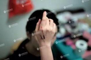 网络歌曲草根网红是谁,网络歌曲中的璀璨之星