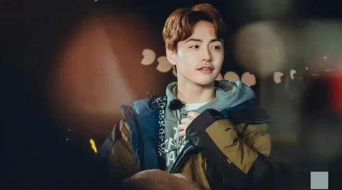 马天宇吃瓜,娱乐圈的“瓜田”风云再起