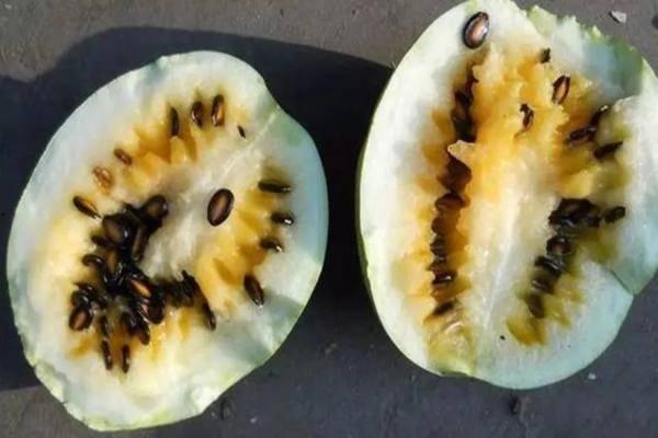 籽瓜可以冷藏多久吃,美味尽享多时