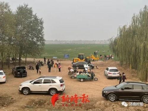 网红车顶种草坪视频,网红种草，绿色出行新风尚