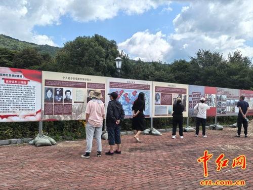 延寿县投江镇新闻头条,聚焦乡村振兴新篇章