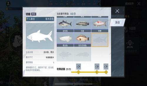 吃鸡绿洲世界吃瓜,揭秘吃瓜群众的狂欢盛宴