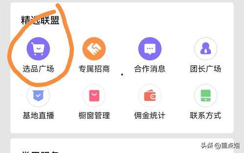头条橱窗怎么添加物品,头条橱窗物品添加全攻略