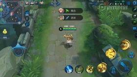 王者爆料老白是谁啊视频,王者爆料视频中神秘人物“老白”的真实身份