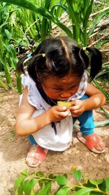 吃瓜吃坏的好的留着,辨别优劣，享受美味