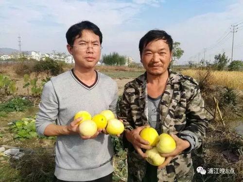 民谣吃瓜群众是什么,揭秘网络时代的围观文化