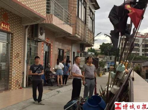 增城新塘镇最近新闻头条,最新进展及影响解析