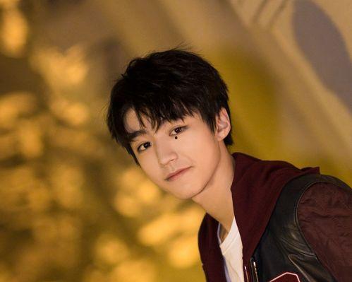 公认温柔男明星,揭秘公认温柔男明星的魅力瞬间”