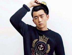 明星对郑恺的评价,多面魅力，实力与幽默并存