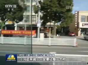 浙江嘉兴新闻头条平湖,聚焦嘉兴平湖最新动态与热点事件