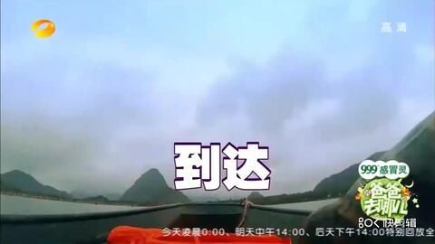 范队长吃瓜全集,揭秘娱乐圈幕后风云