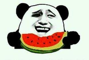 小海来了带你吃瓜