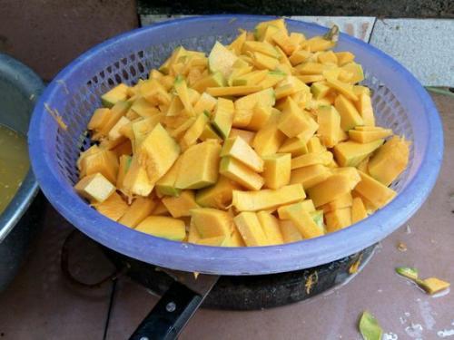 草鱼吃洋瓜吗,营养与适宜性分析