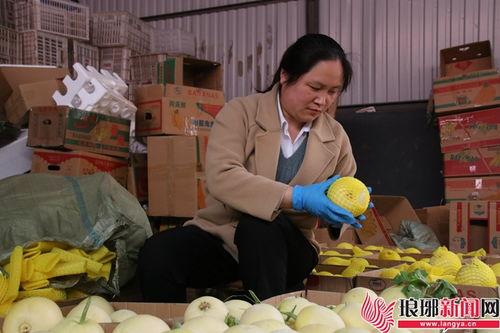 方城镇网红,网红打卡新地标，魅力乡村焕新颜