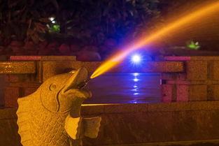 宁波象山网红夜景视频,网红视频中的梦幻夜景掠影