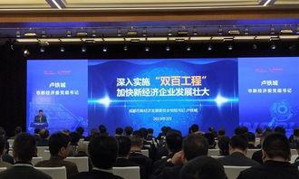 成都双百新闻头条,聚焦双百项目新进展，共筑城市未来辉煌