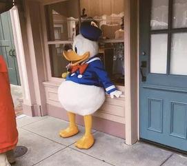 娱乐圈爆料唐老鸭是谁啊,揭秘唐老鸭的真实身份！