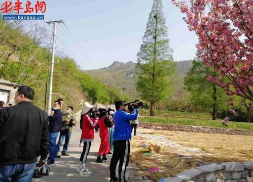 齐鲁网红路,探寻山东风情与网络热点的交融之旅