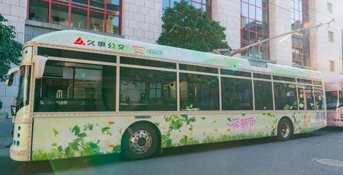 网红公交亮相图片