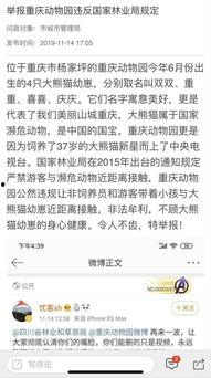 重庆城管局最新爆料,揭秘城市治理背后的故事